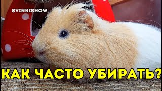 :       ?  . SvinkiShow