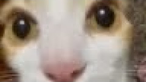 trying to get the rainbow nil in item asylum