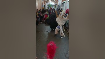 Live desa karang wareng 06 April 2025 / para Hanoman menyerang gerandong dan barongan.