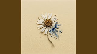 Details Dizzy Daisies Always News