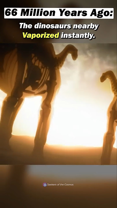 The Asteroid that Wiped out the Dinosaurs | The Chicxulub Crater