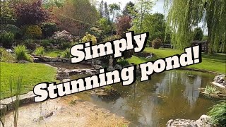Best pond in the world? Or is it just a tribute?…