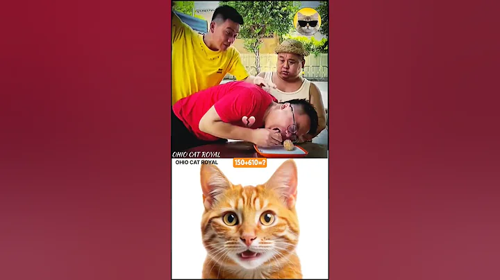 Video 10681521: funny cat eating, sweet cat funny