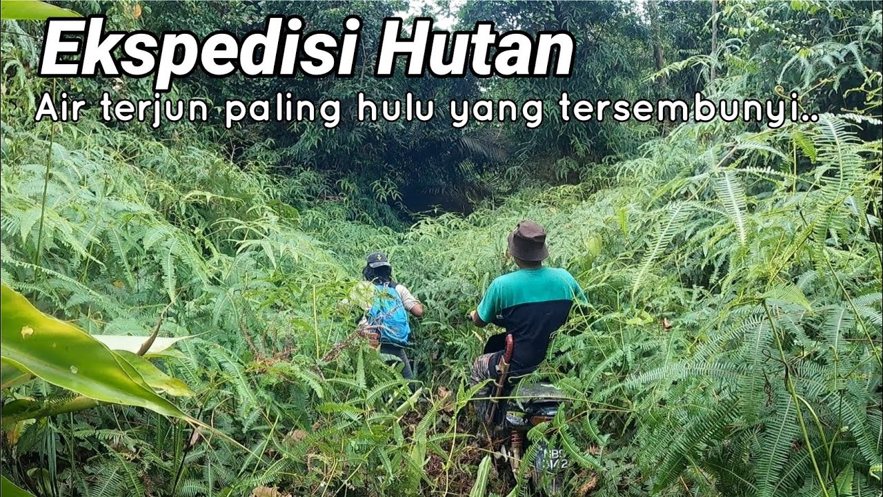 Ekspedisi Hutan | Air terjun paling hulu yang tersembunyi.