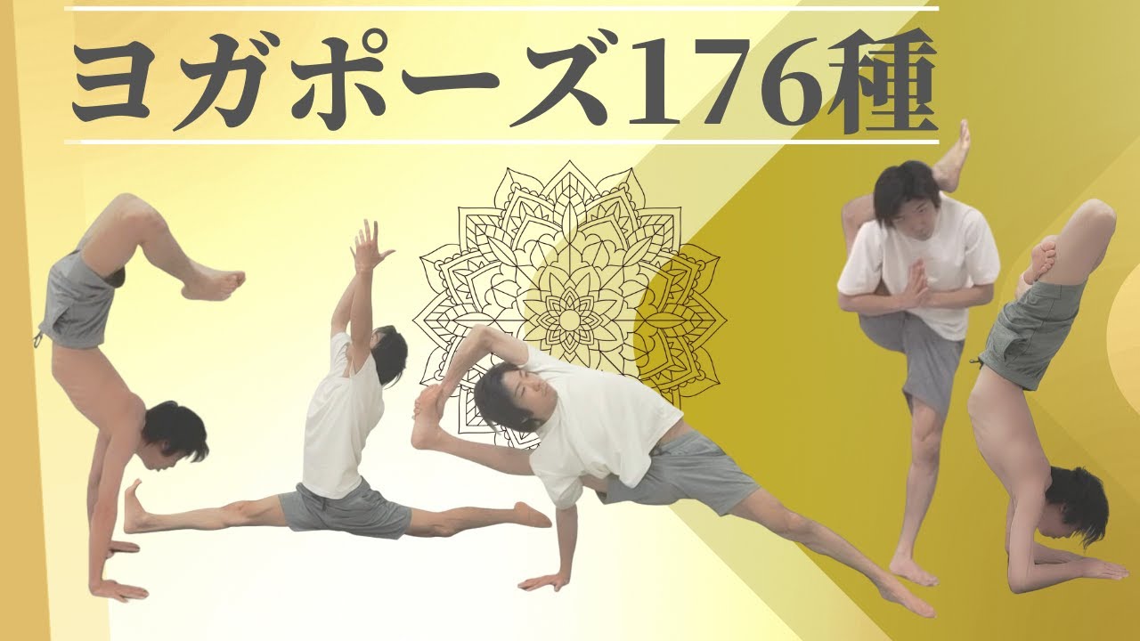 初級から上級まで全176種ヨガポーズ
