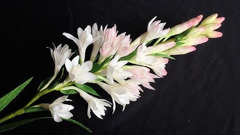 ABC TV | How To Make Tuberose Paper Flower From Crepe Paper - Craft Tutorial