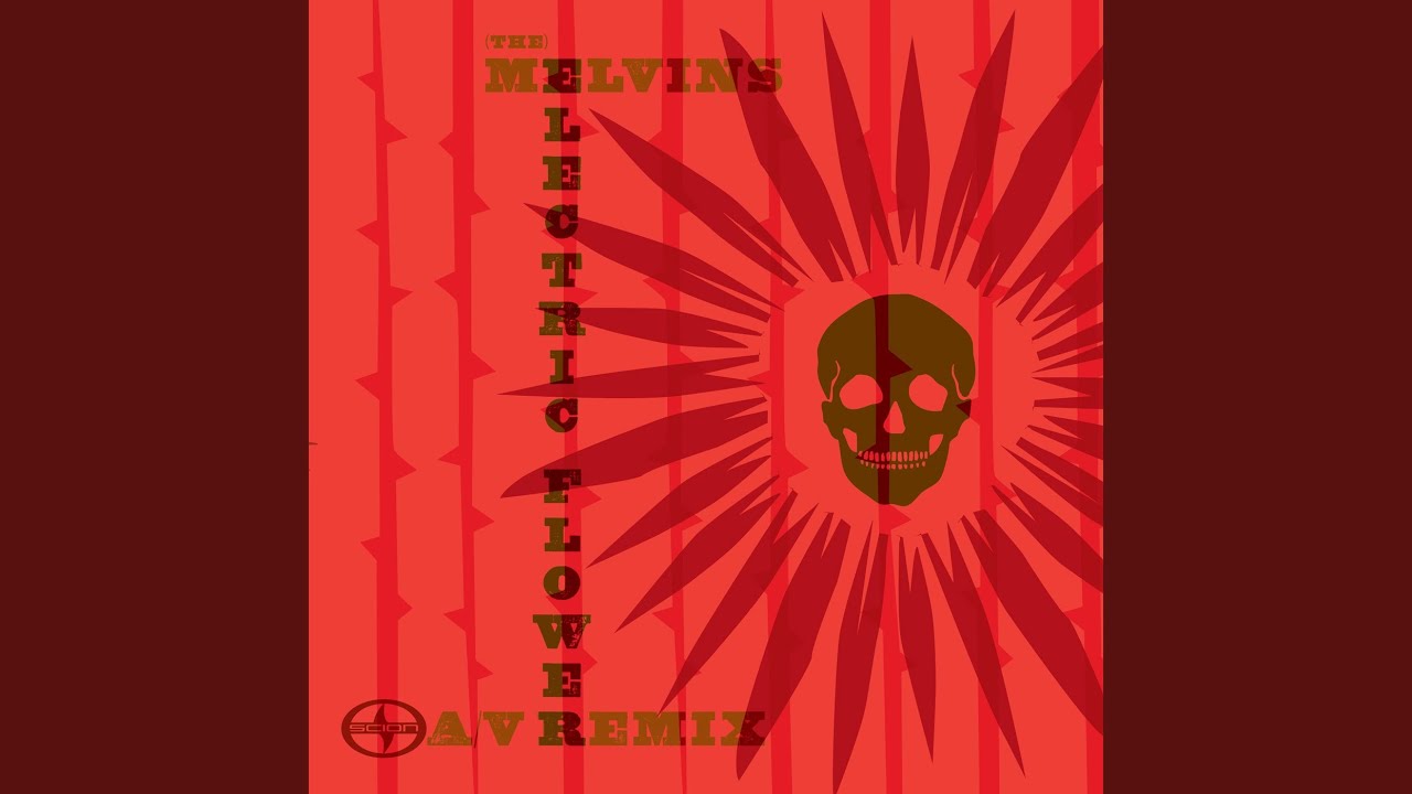 Electric Flower (Lovelock Remix) YouTube