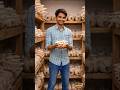 Mushroom Farming 🧺 घर बैठे कमाई #MushroomFarming #jugaadfactoryyt