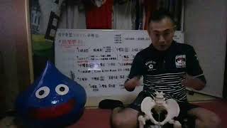 筋トレにもなる #解剖学ストレッチ