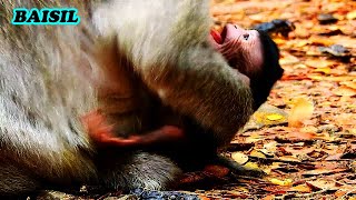 Sad Cr-Y .. Baisil Sad Shaking - Old Mommy Bertha Worry Baby