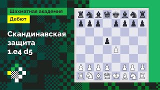 Скандинавская защита #1 - 1.e4 d5!? Прочь от теории // Дебют