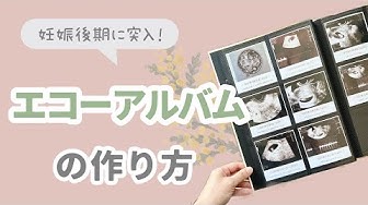 エコー写真 Youtube