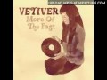 Vetiver - Just To Have You