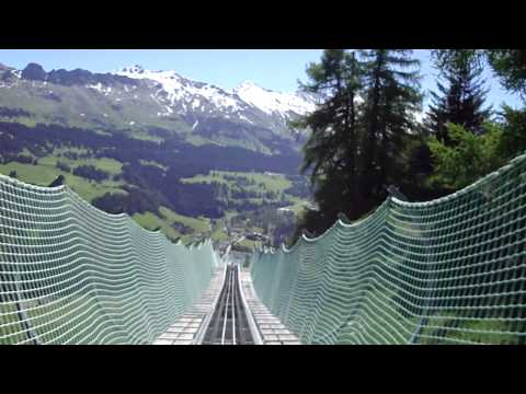 Längster schwans der welt