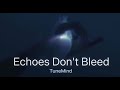 Echoes Don’t Bleed | Official Music Video | New Emotional Release 2025