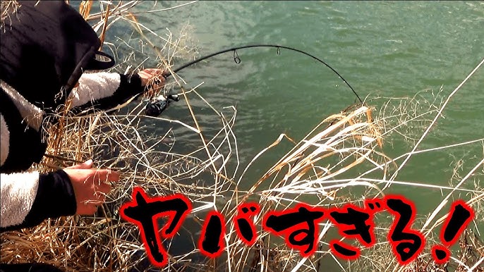 新型ミノー巻いてたら ヤバすぎる魚が掛かった 巨匠落水川 Youtube