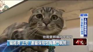 貓托邦接受壹電視採訪片段
