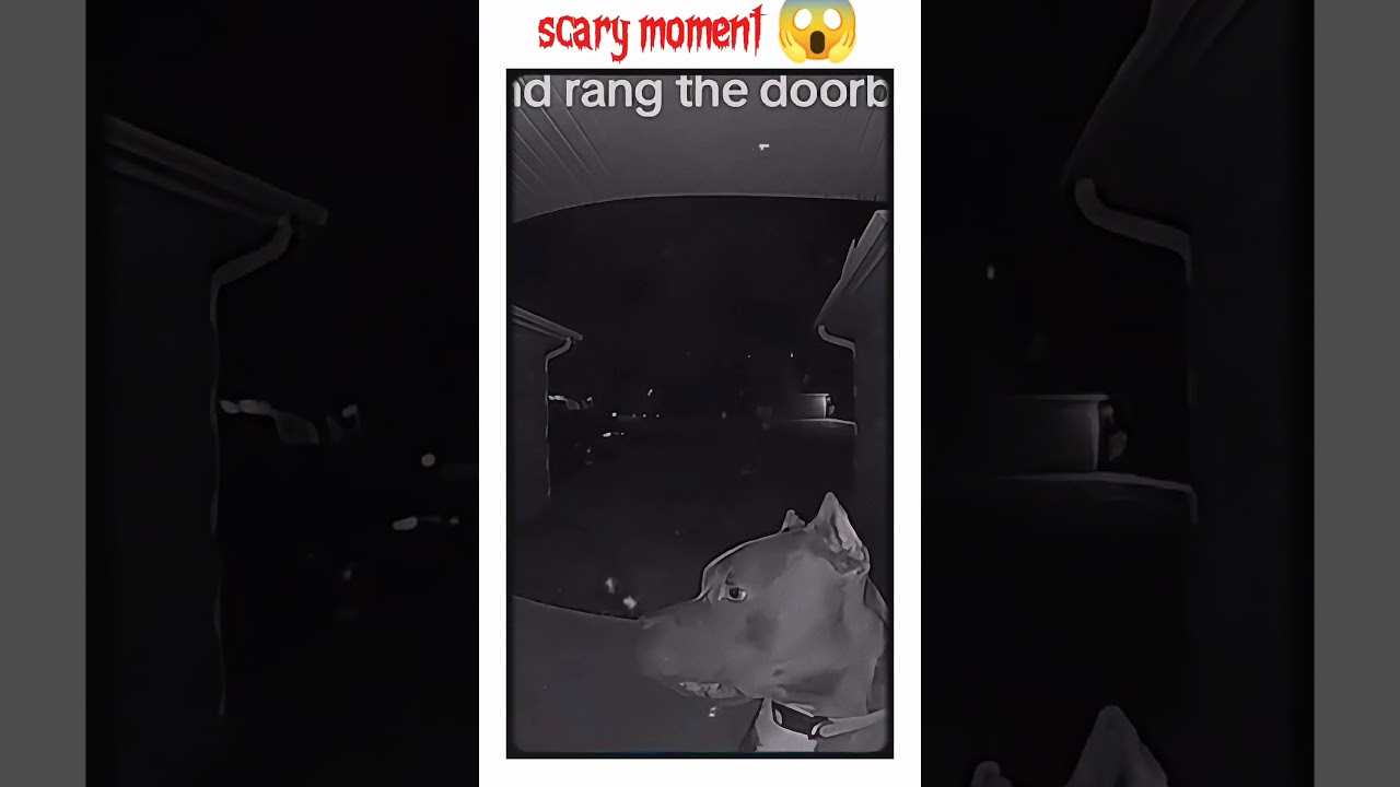 The Haunted Shadows You Can’t Escape          