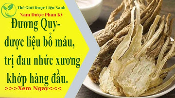 Đương quy – Dược liệu bổ máu, trị đau nhức xương khớp hàng đầu