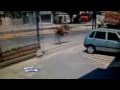 [Vídeo] Bandido em fuga cai de moto e morre ao quebrar o pescoço