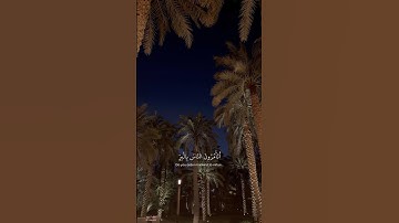 #سورة_البقرة | أتأمرون الناس بالبر وتنسون أنفسكم وأنتم تتلون الكتاب ) #قران_كريم #قلب_مطمئن