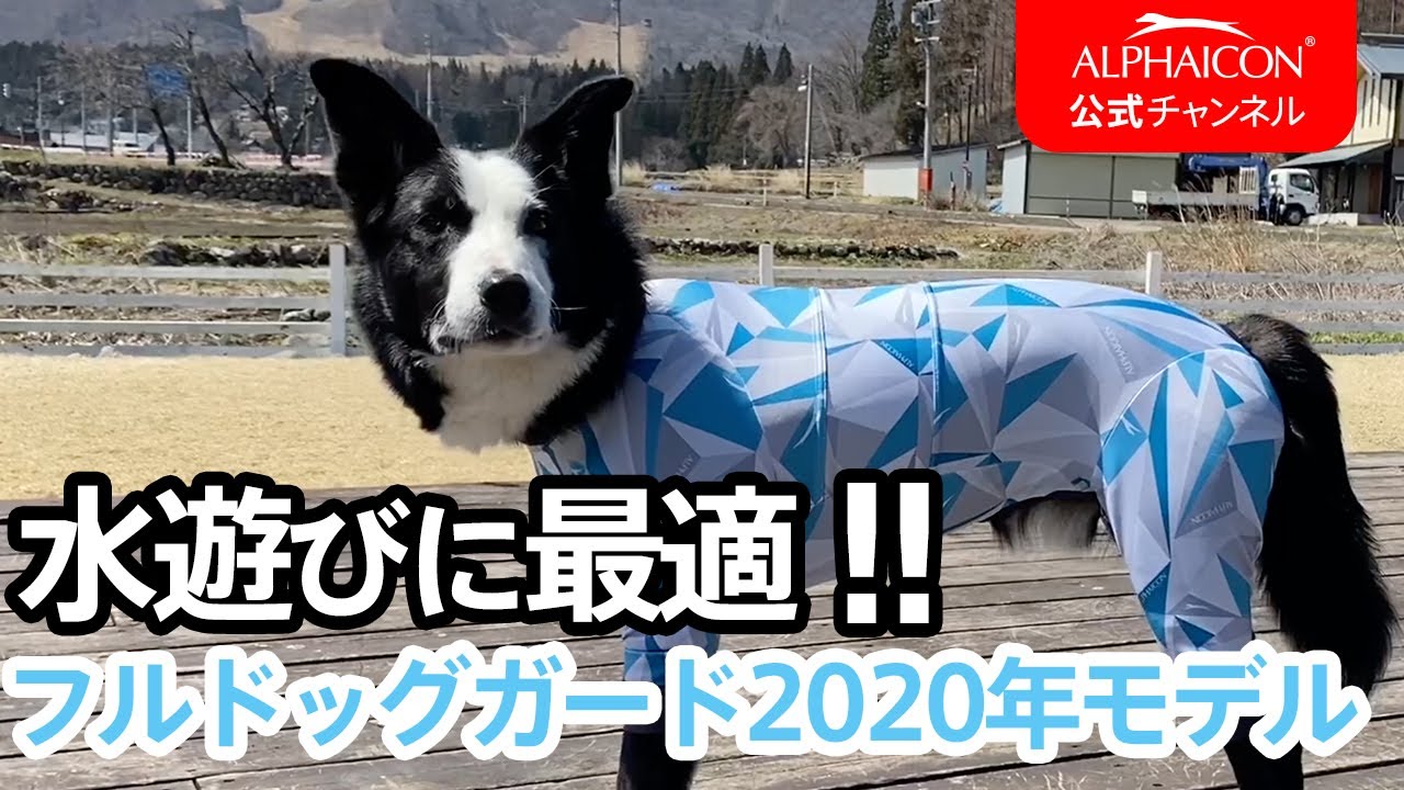 試着のみ　ダブルフルドックガード　LL　　2020年モデル　ネイビー アルファアイコン (W)ダブルフルドッグガード［2020年モデル］（大型犬
