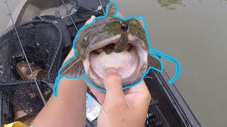 Big Surprise Catch Kayak Fishing The Great Miami River