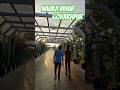 nauka vihar 2.0 // #minivlog #dailyvlogs #vlog #short