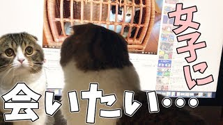 可愛い女子に会いたい！な猫
