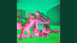 Fin De Semana - Dromedarios Mágicos