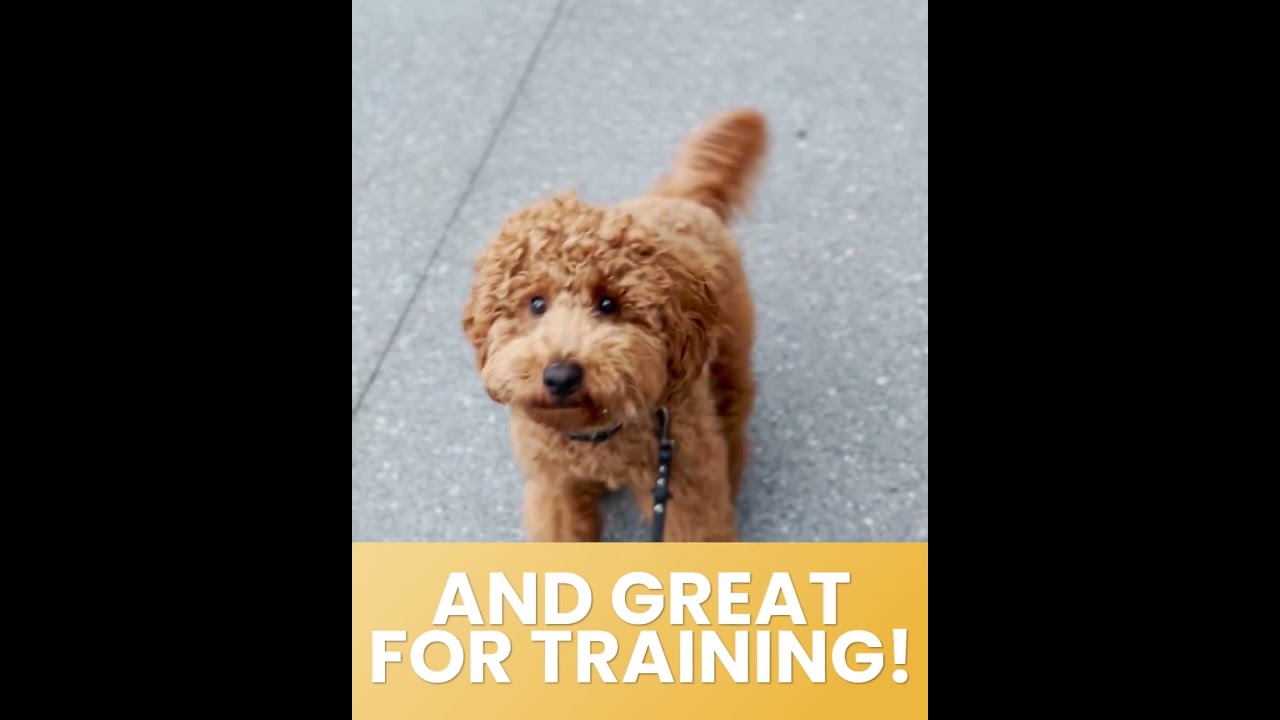 All Natural Dog Treats - Farm To Pet