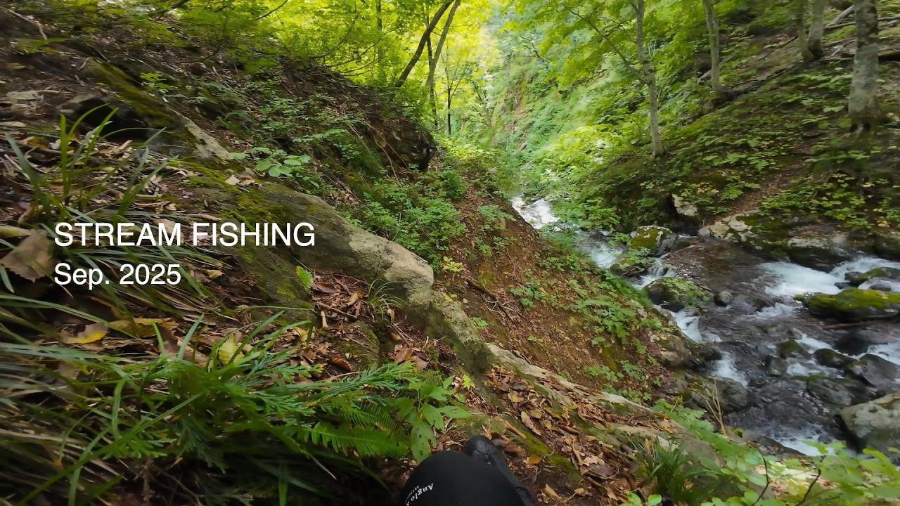 荒れまくりの渓で滑落したり、いろいろハードモードだった日【渓流釣り】