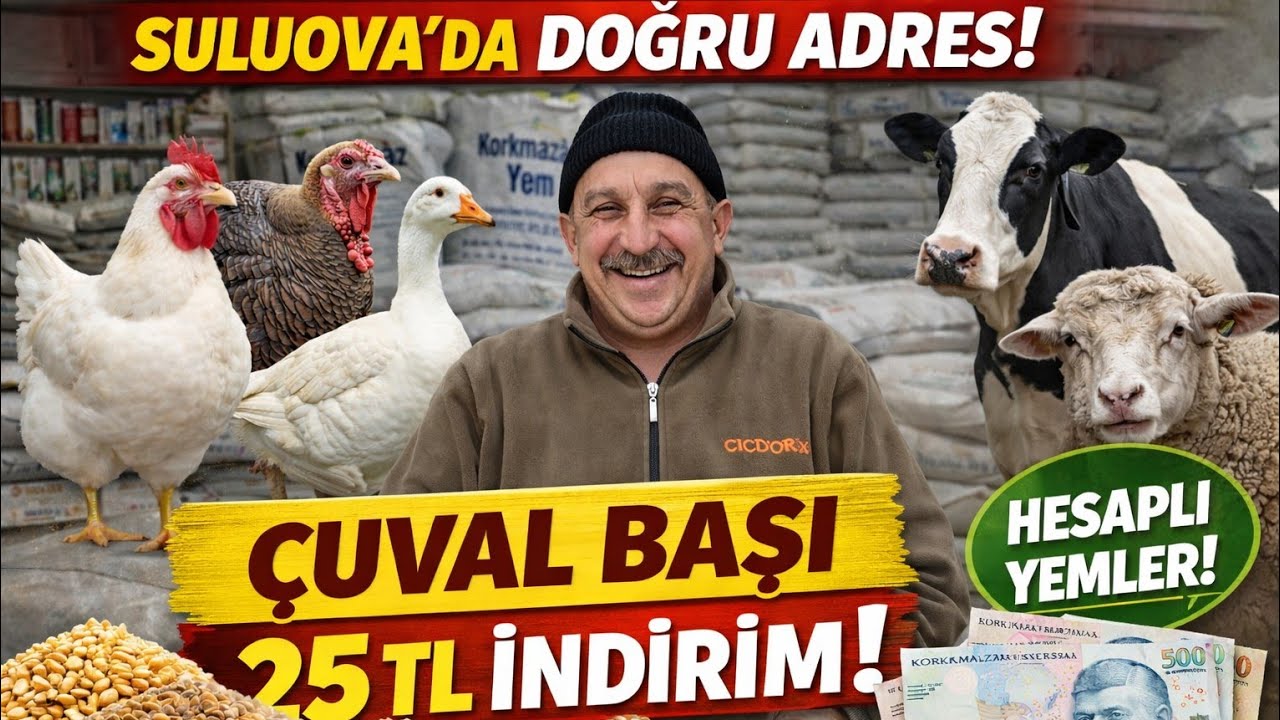 ÇUVAL BAŞI 25 TL İNDİRİM!YEM FİYATLARI NE KADAR?KANATLI BESLEYENLER BURAYA!
