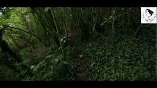 Traffic warden caught stalking in the bushes!