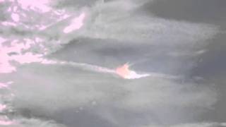 THE FINAL STAND (chemtrails)Track by brillbilly
