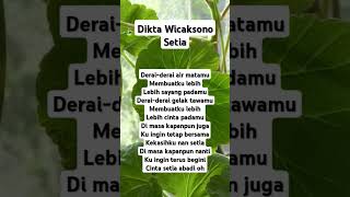 Dikta Wicaksono - Setia