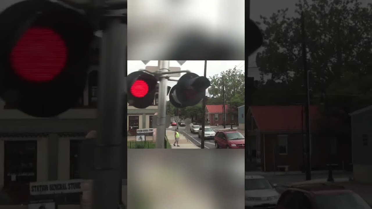 Next Stop: Trees! Inside a Moving Train Adventure