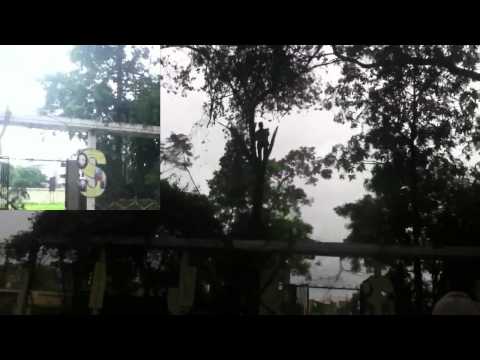 Indian Men Cutting And Pulling Down Trees at Nasik Church - AaronTheEagle1 Video