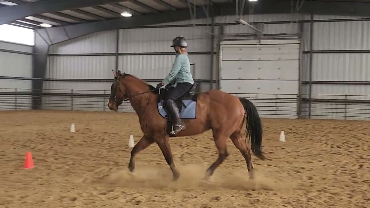 Cindy macleod-soppe newr spiral feb 18 2025