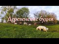 Байки за рулем. Немного огорода // Деревенские будни