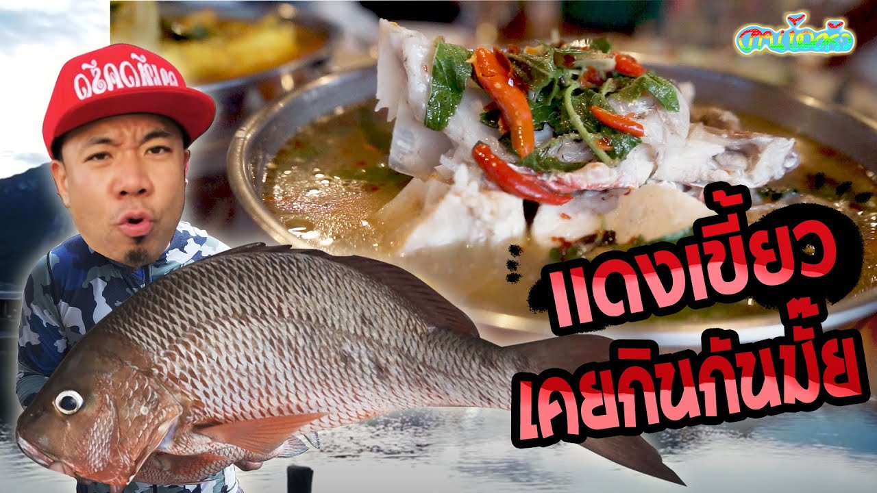 "ปลากระพงแดงเขี้ยว" ไซส์ 3.5 kg เคยกินกันมั๊ย??