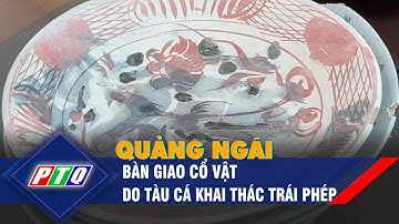 Quảng Ngãi: Bàn giao cổ vật do tàu cá khai thác trái phép | PTQ