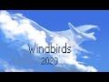 Windbirds channel trailer 2020