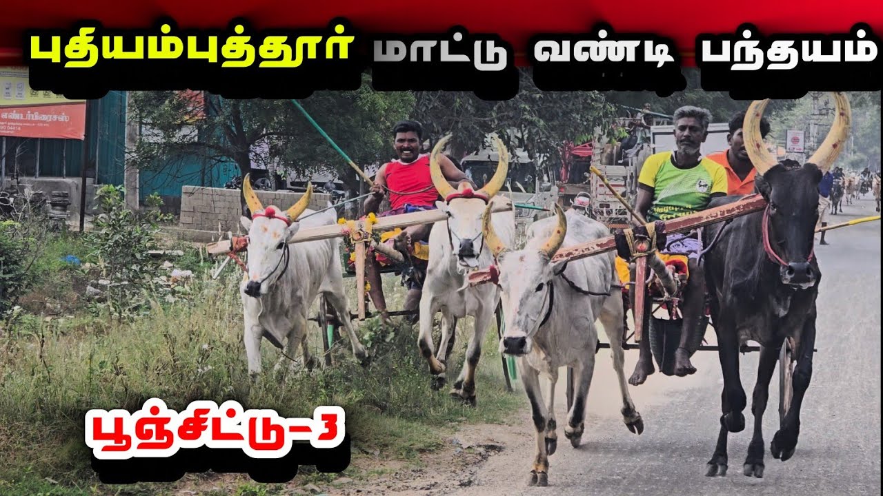 புதியம்புத்தூர் பூஞ்சிட்டு-3 மாட்டு வண்டி பந்தயம் 8 March 2026