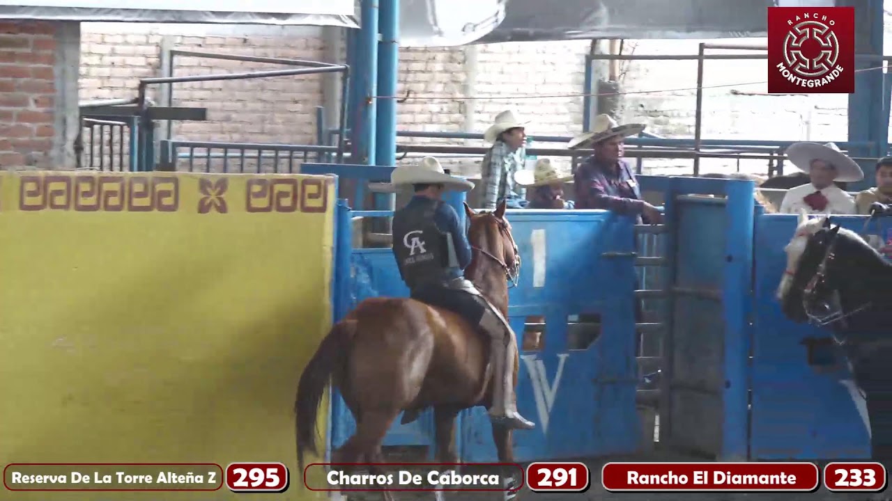 Circuito Profesional Alteño V Fase