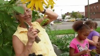 Utica Unity Community Gardens