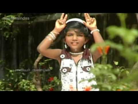 sinnadho periyadho video song