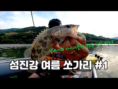 섬진강 여름 쏘가리/ 킬베이트 카이저플랫 52S 싱킹 미노우