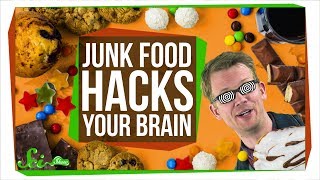 How Junk Food Hacks Your Brain How Junk Food Hacks Your Brain
