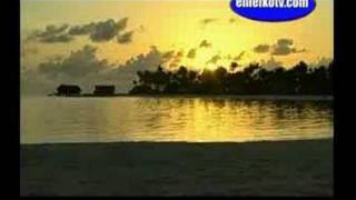 Maldives The Paradise Have Coconut Flavour